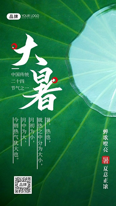 大暑节气荷叶摄影图海报