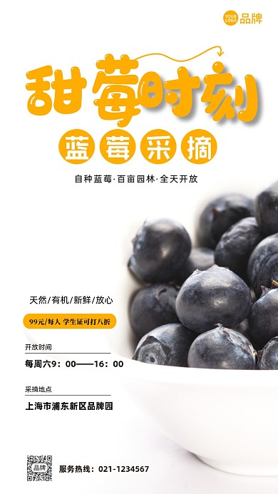 蓝莓采摘特惠摄影图海报