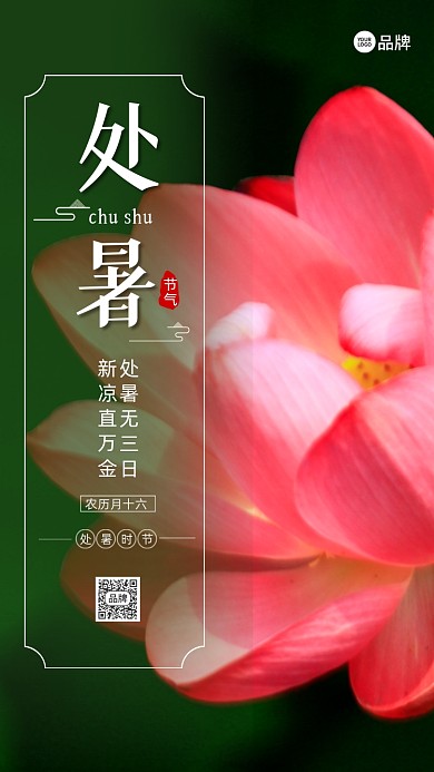 二十四节气处暑荷花摄影图海报