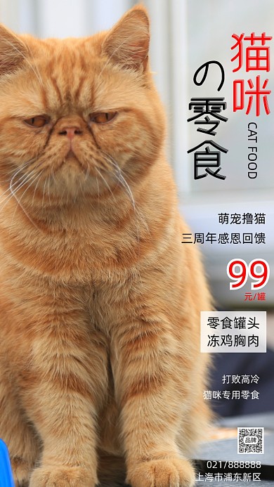 猫咪零食周年庆宣传摄影图海报