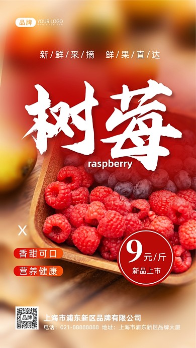 树莓水果新品上市摄影图海报