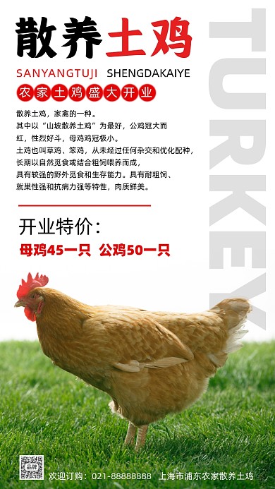 散养土鸡开业促销宣传摄影图海报