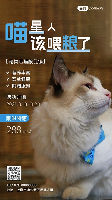 宠物猫粮促销摄影图海报