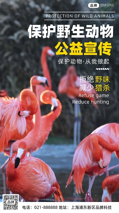 保护野生动物公益摄影图海报