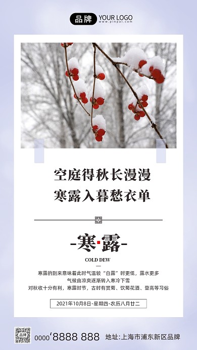 寒露节气日签红果落霜摄影图海报