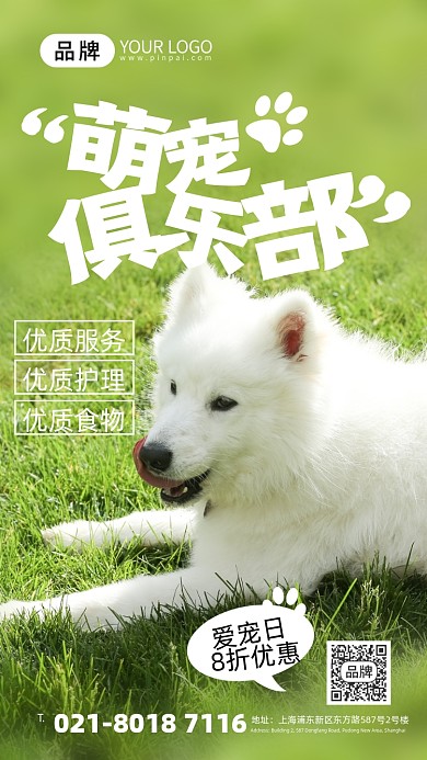 宠物狗粮小狗摄影图海报
