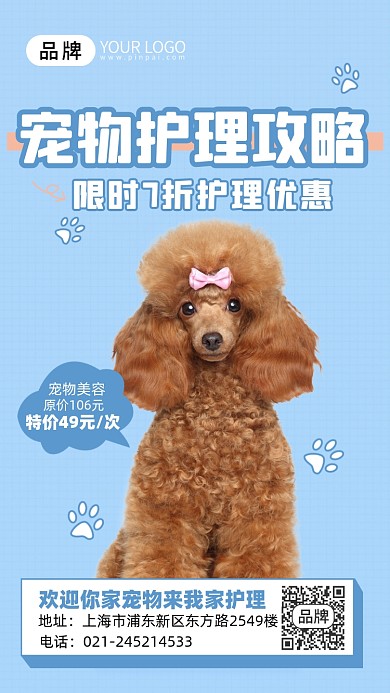 宠物狗粮小狗摄影图海报