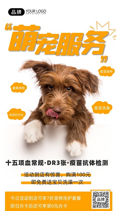 宠物狗粮小狗摄影图海报