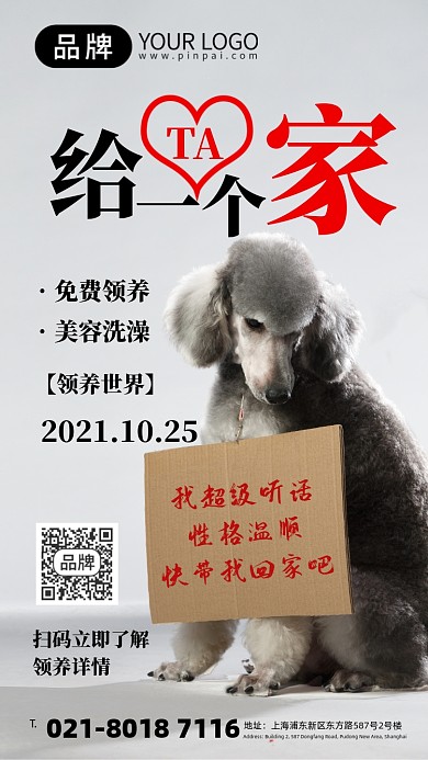 宠物狗粮小狗摄影图海报