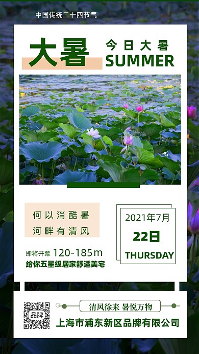 荷花池塘大暑节气海报