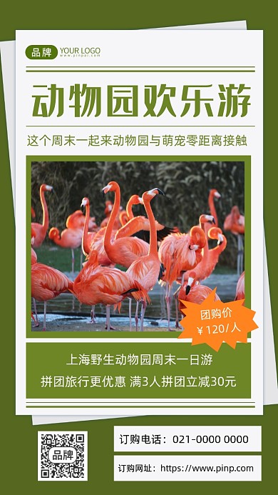 动物园欢乐游清新野生动物摄影图海报