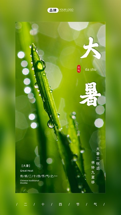 大暑节气叶子水珠阳光照射摄影图海报