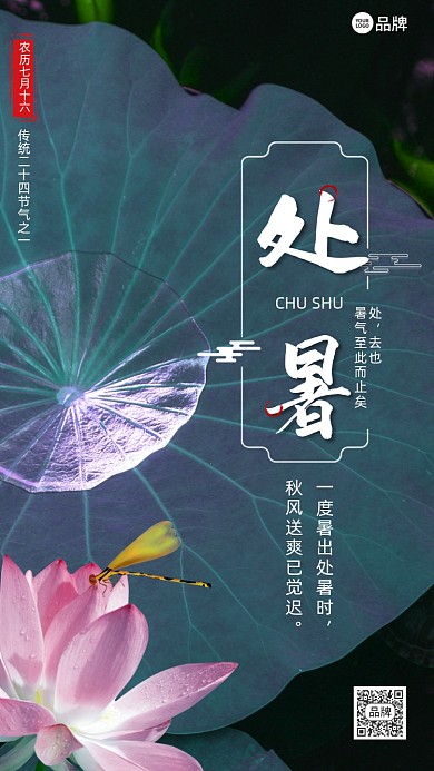 二十四节气处暑摄影图海报