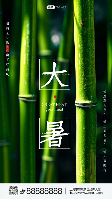 大暑节气竹子竹林影子阳光摄影图海报