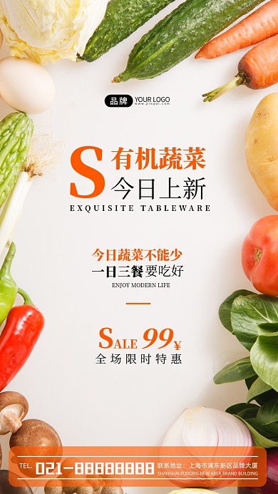 有机蔬菜今日上新宣传摄影图海报