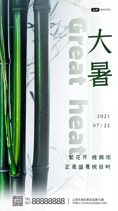 大暑节气竹子竹林影子阳光摄影图海报