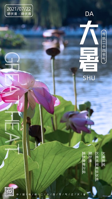 大暑节气荷花摄影图海报