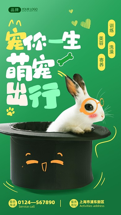 宠物医院帽子里的兔子写实风摄影图海报