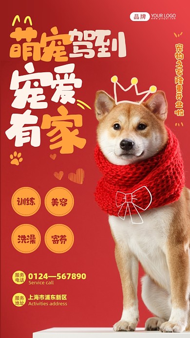 萌宠医院可爱狗狗红色简约摄影图海报