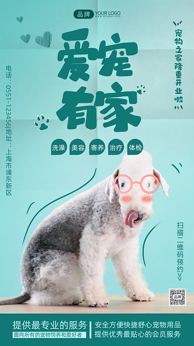 宠物之家开业绿色清新摄影图海报