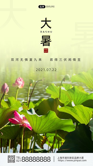大暑节气池塘荷花荷叶阳光摄影图海报