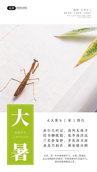 大暑节气螳螂在纸上叶子方框摄影图海报