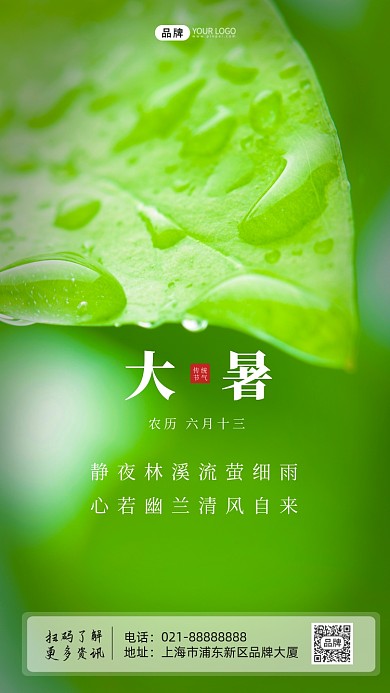 大暑节气森林绿叶水滴水珠摄影图海报