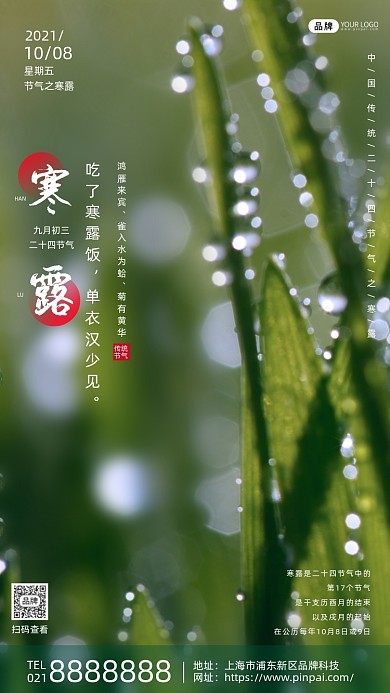 寒露传统节气时尚摄影图海报