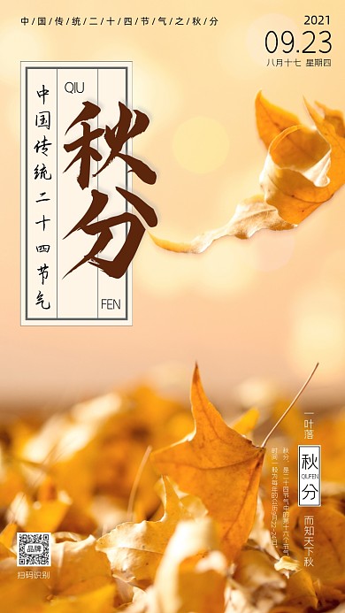 秋分传统节气时尚摄影图海报