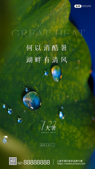大暑节气荷叶纹路水珠摄影图海报