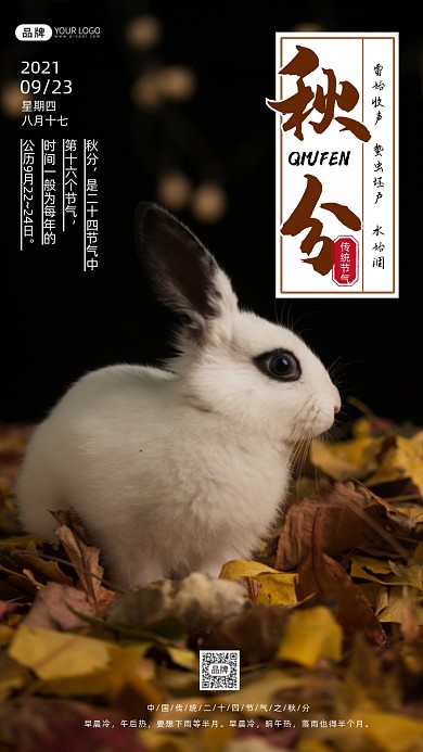 秋分传统节气时尚摄影图海报