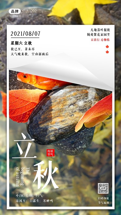 立秋传统节气简约摄影图海报