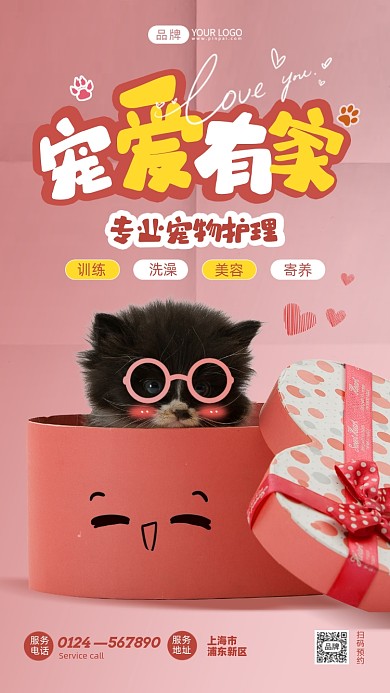 专业宠物护理可爱猫咪摄影图海报