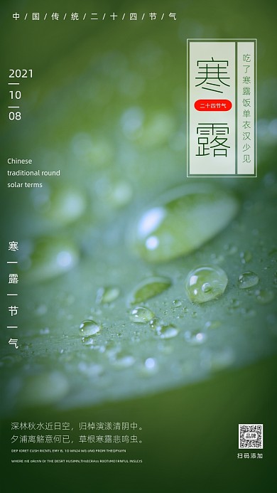 寒露传统节气时尚摄影图海报