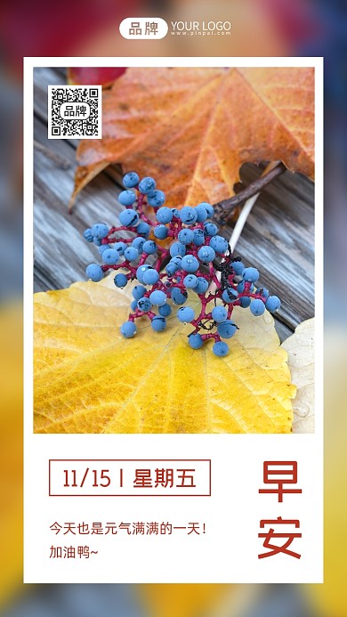 早安日签落叶果实摄影图海报