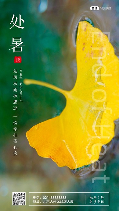 处暑节气黄色枫叶落在水里摄影图海报