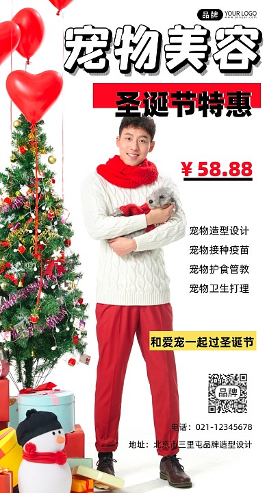宠物美容圣诞节特惠宣传摄影图海报