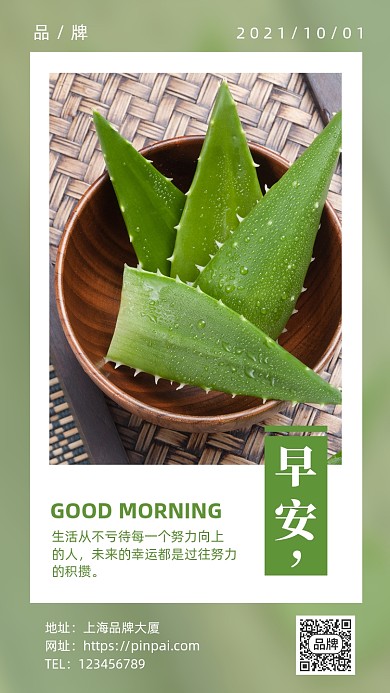 早安日签绿植芦荟摄影图海报