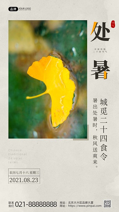 处暑节气落叶飘进水里摄影图海报