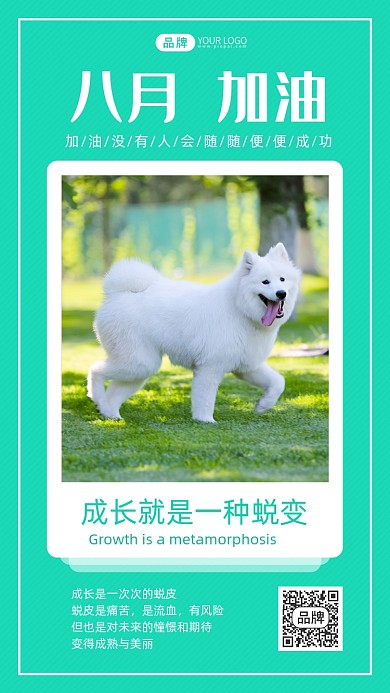 八月成长蜕变日签可爱狗狗摄影图海报
