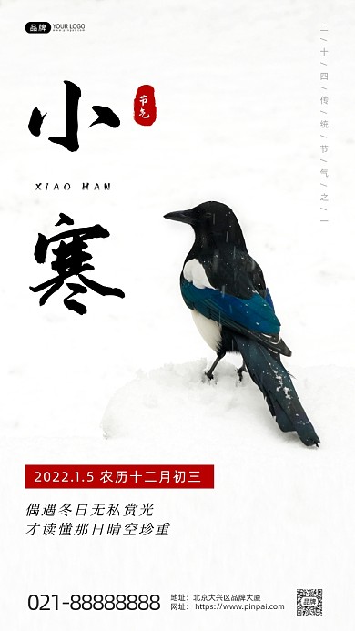 小寒节气鸟在冬天雪地摄影图海报