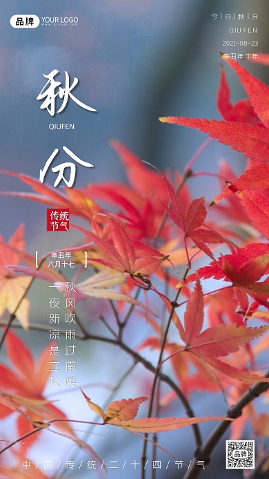传统节气秋分宣传海报