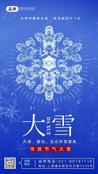 大寒节气雪花摄影图海报