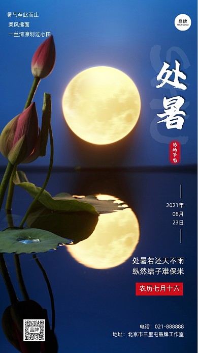 二十四节气处暑宣传海报