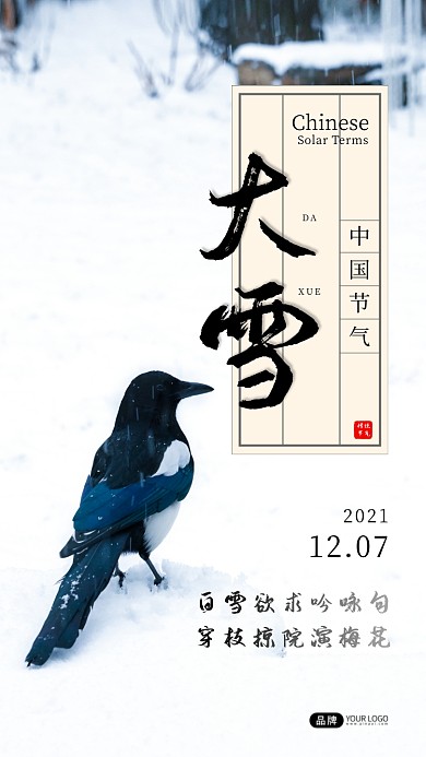大雪节气雪天鸟在雪地上摄影图海报