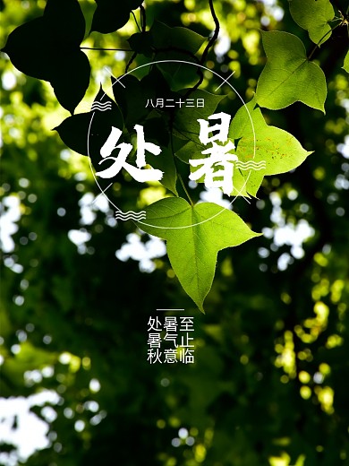 处暑节日摄影图海报