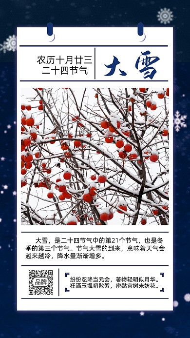 二十四节气大雪摄影图海报