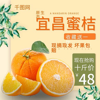 黄色简约清新橙子橘子水果淘宝主图直通车