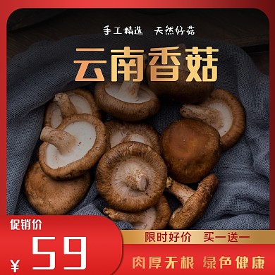 淘宝天猫电商香菇食材食品主图