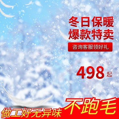 服装女装箱包年终大促简约冬季淘宝电商主图